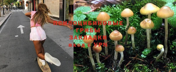 метамфетамин Аркадак