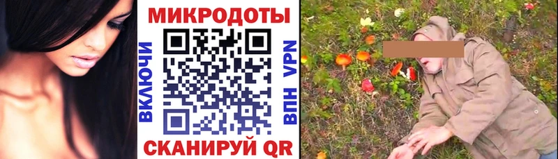 Псилоцибиновые грибы прущие грибы Зерноград