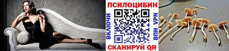 как найти закладки  Зерноград  Галлюциногенные грибы мицелий 